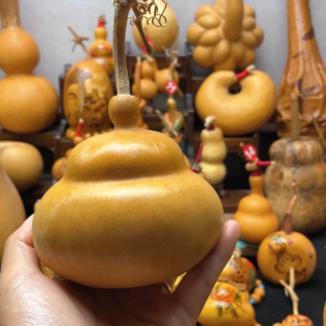 ?****?大自然的秘密第十一章第一