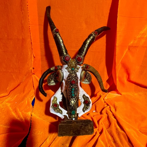 藏式包铜羊头骨工艺品 手工镶铜羊头标本 壁挂装饰 摆件店面装饰