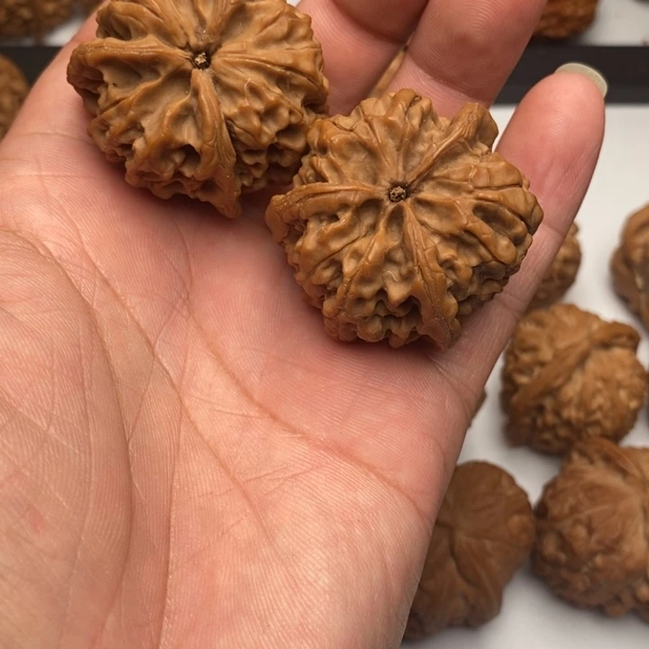 手串/手链核桃三菱狮子头狮子头