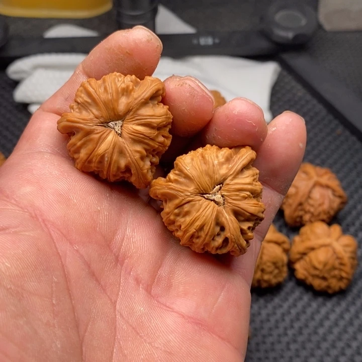 核桃把件拼接白狮子1