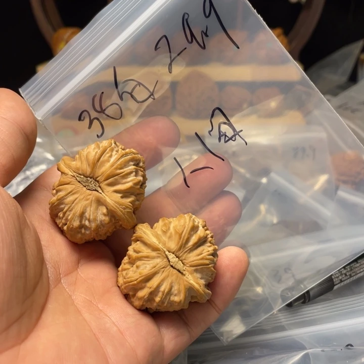 人***柔文玩核桃把件白狮子