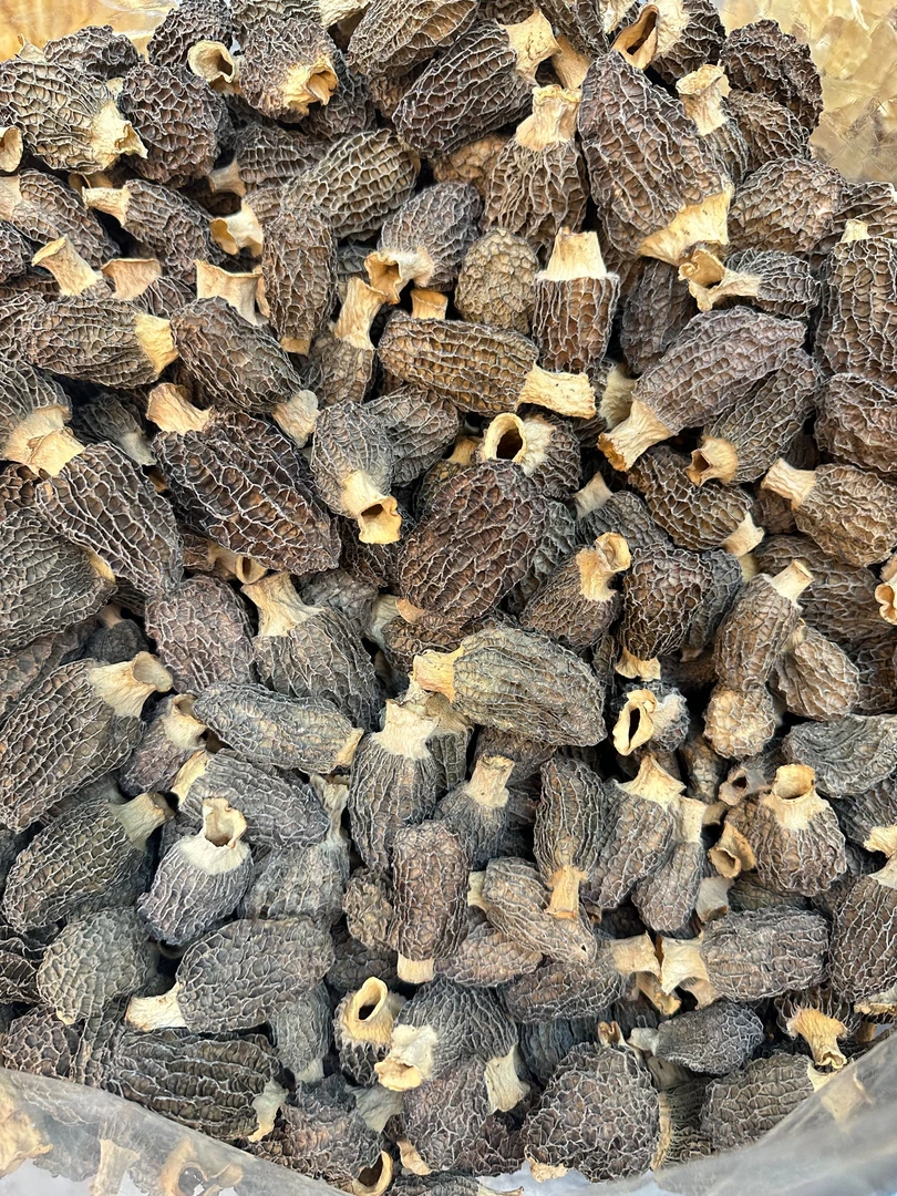 精选 羊肚菌  6妹 细纹 黑头 中草莓型号 草莓形状