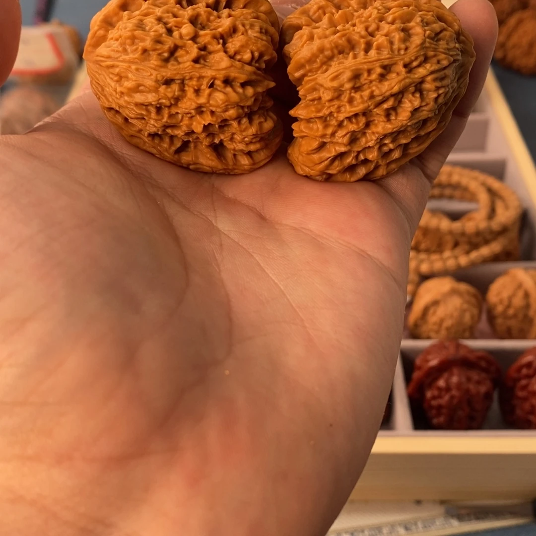 文玩核桃把件逐鹿一代南疆修43