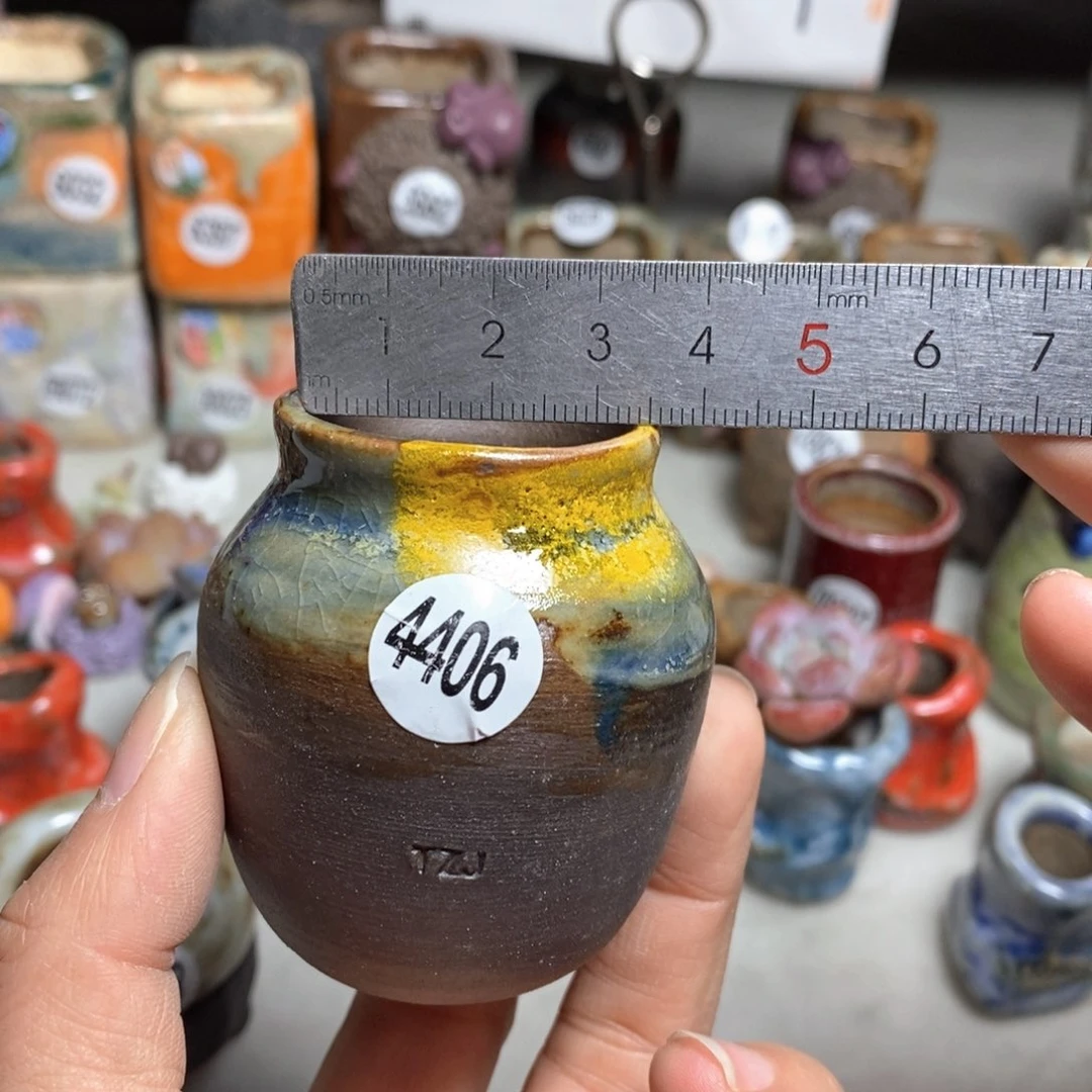 花盆拍5送一个小礼物，不含多肉，