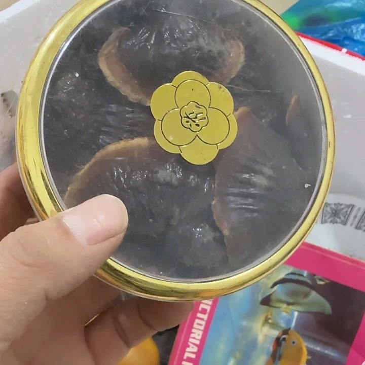 中***肤扇子 把v宝宝不好吧宝贝宝贝宝贝