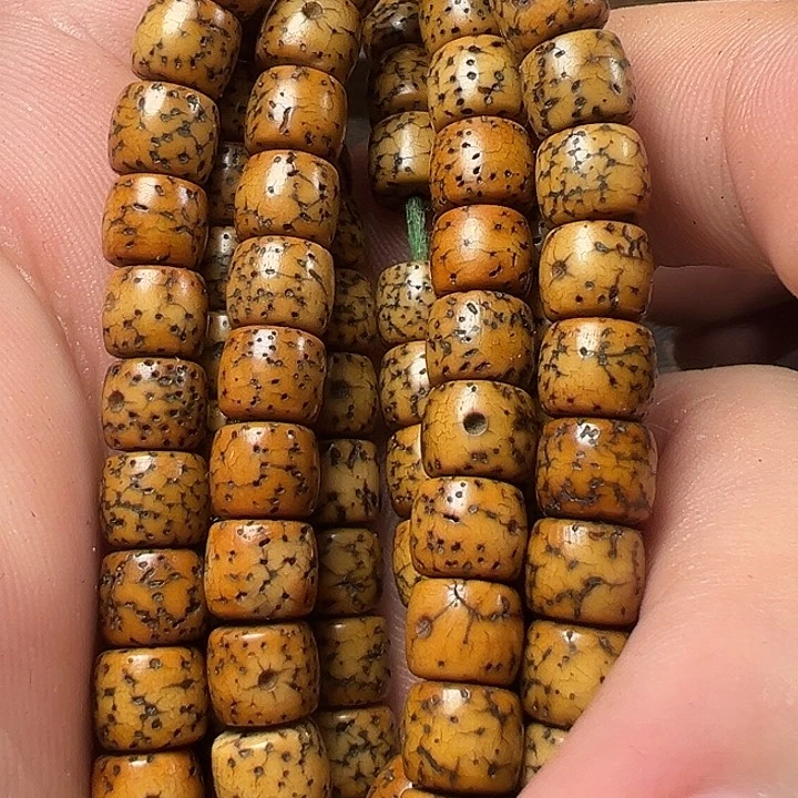 我们都是在这里看到的哈