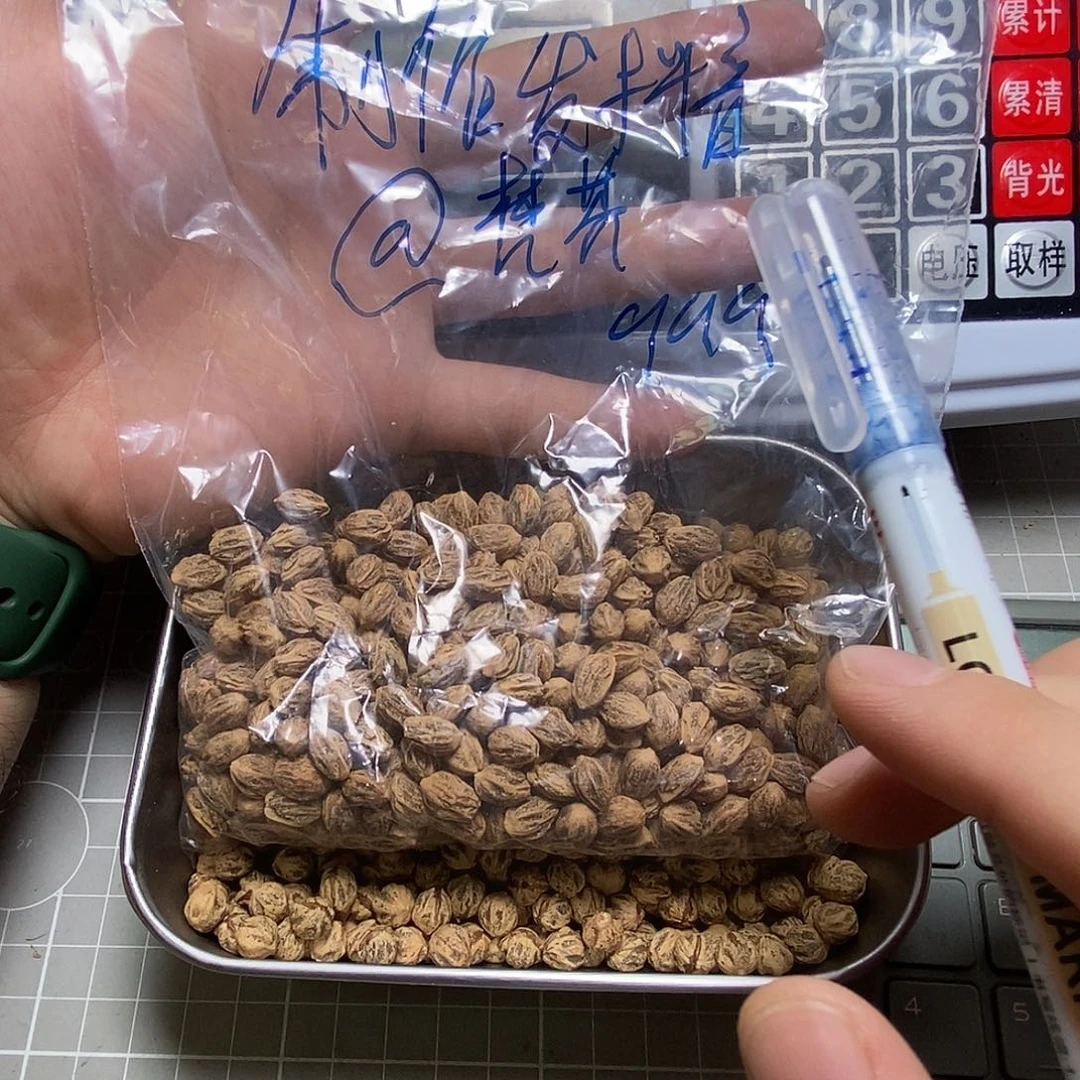 9***9柏香籽/百香籽吊坠