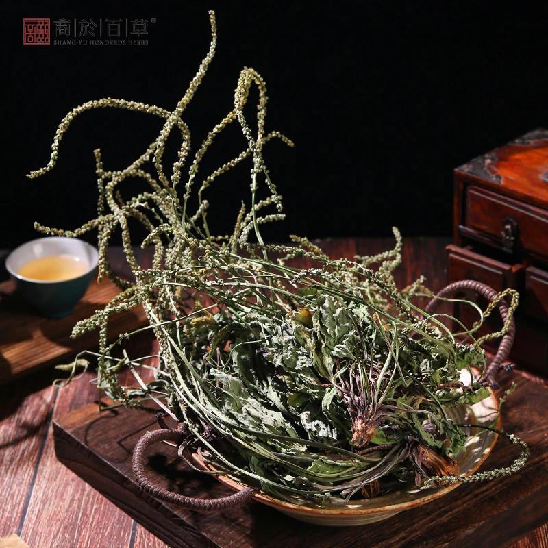 商於百草车前草 当季新货整颗干货泡水喝 煮鸡蛋可配蒲公英250g