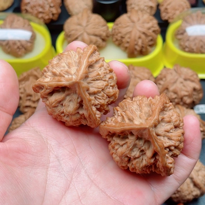 文玩核桃把件官帽三棱47×46×46