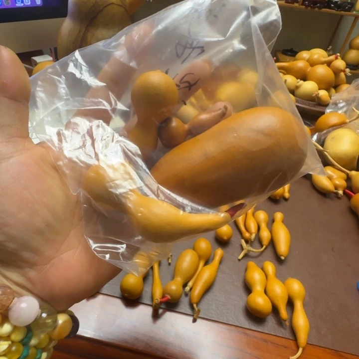 染***堂精品课程等教学内容
