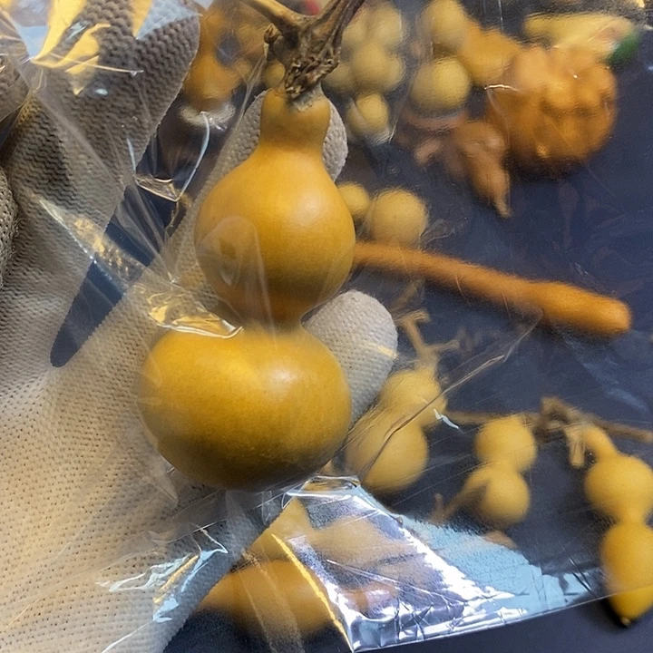 张***&这个时候应该可以