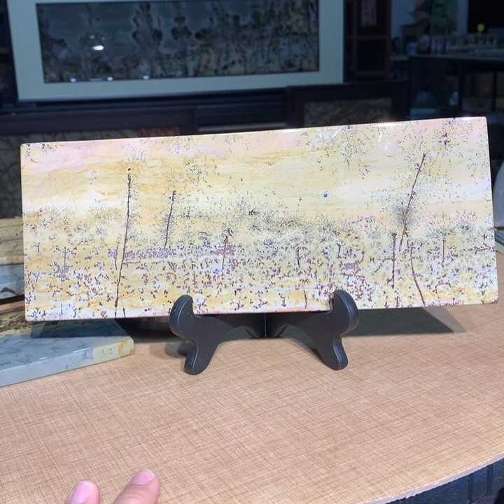 ，广西国画石摆件，收藏观赏