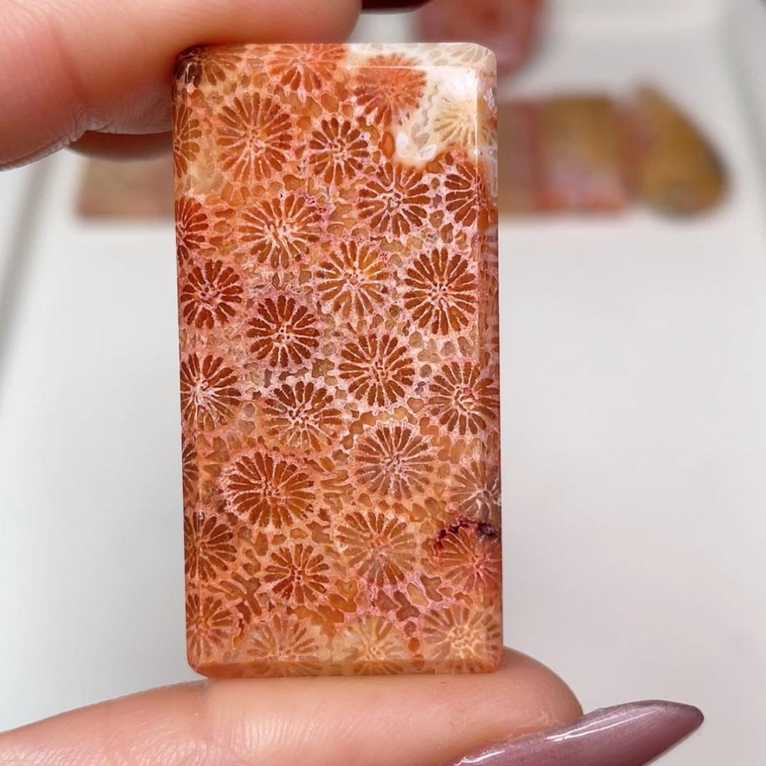 【闪购商品】未镶嵌吊坠(赠链)硅化玉