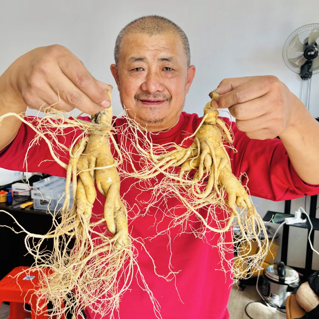 【书记推荐】 长白山特大号!新鲜人参农家土特产