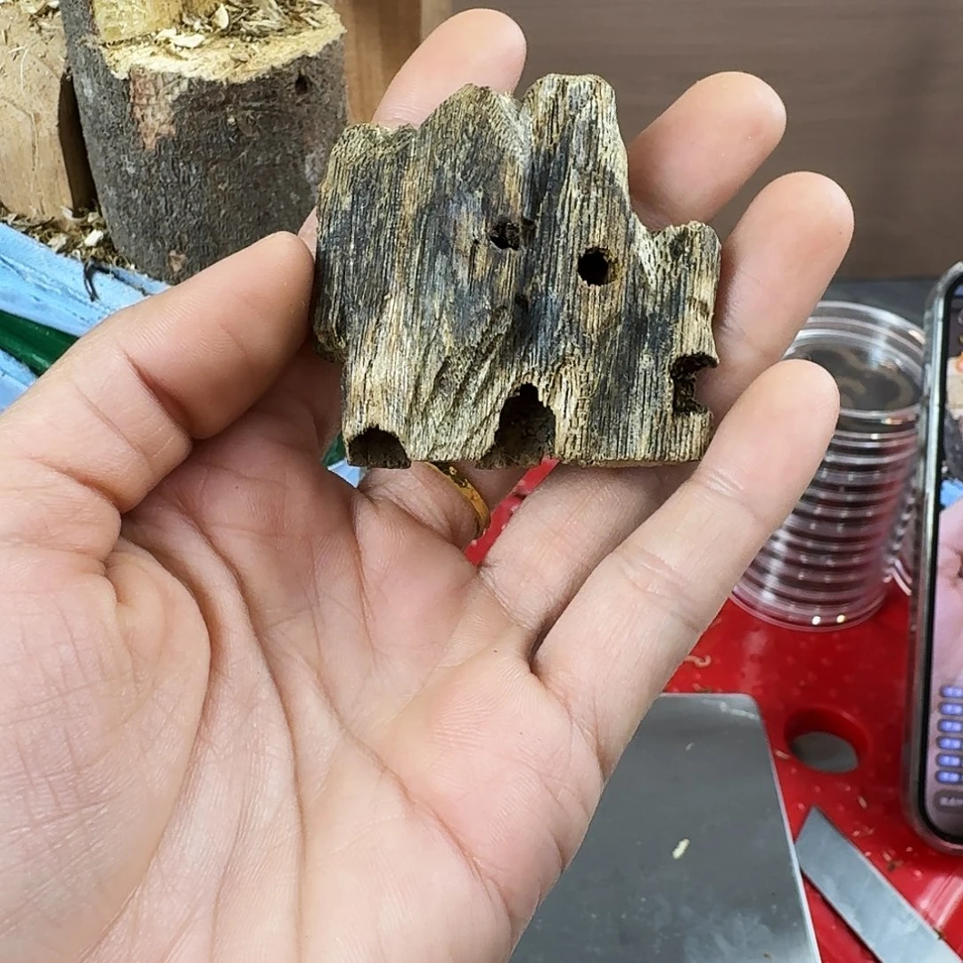 香料绿奇楠虫漏乌身圆叶9克