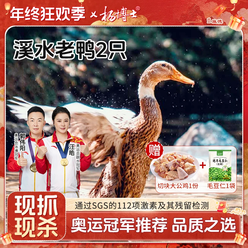 【2只溪水老鸭】杨博士皖南溪水放养500天土鸭子散养新鲜现杀鸭子