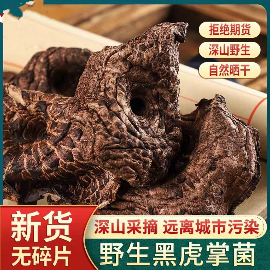 黑虎掌菌山珍正宗干货云南特产煲汤菌菇营养丰富送礼佳品野生