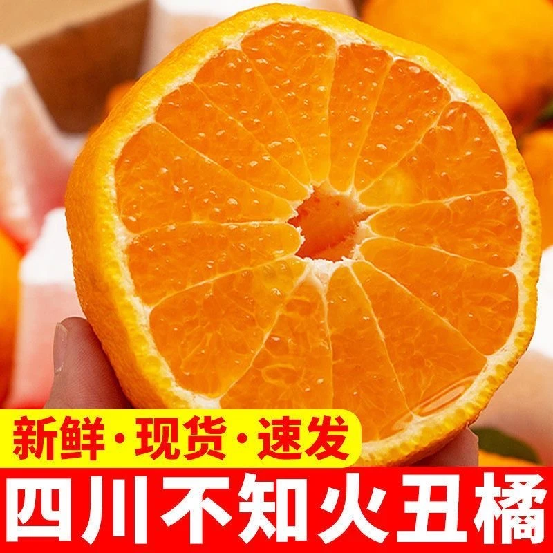 四川不知火丑橘新鲜水果当季整箱丑八怪柑橘DLZ4