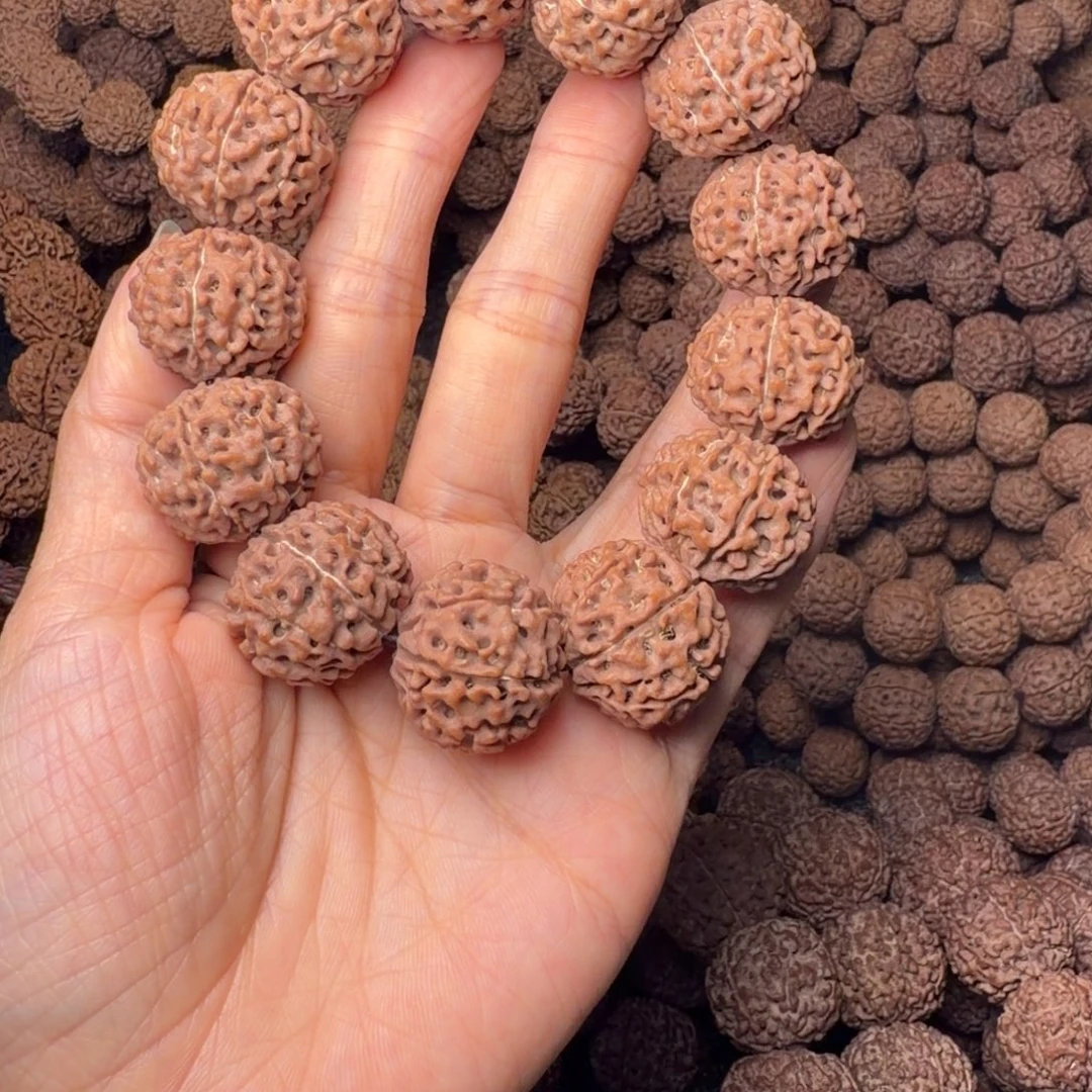 手串金刚菩提8瓣卡22尺，87号