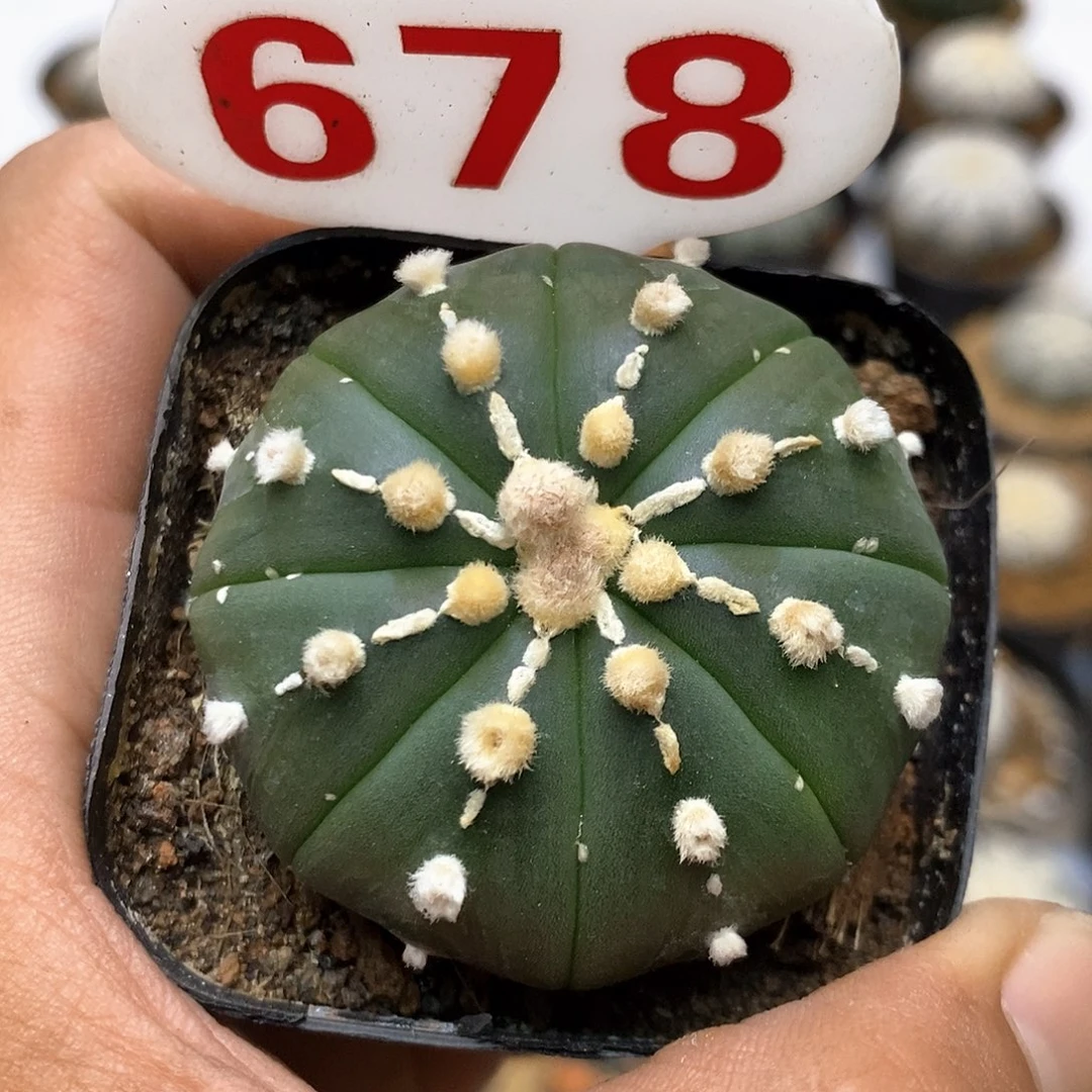 678福利特价咯特价咯
