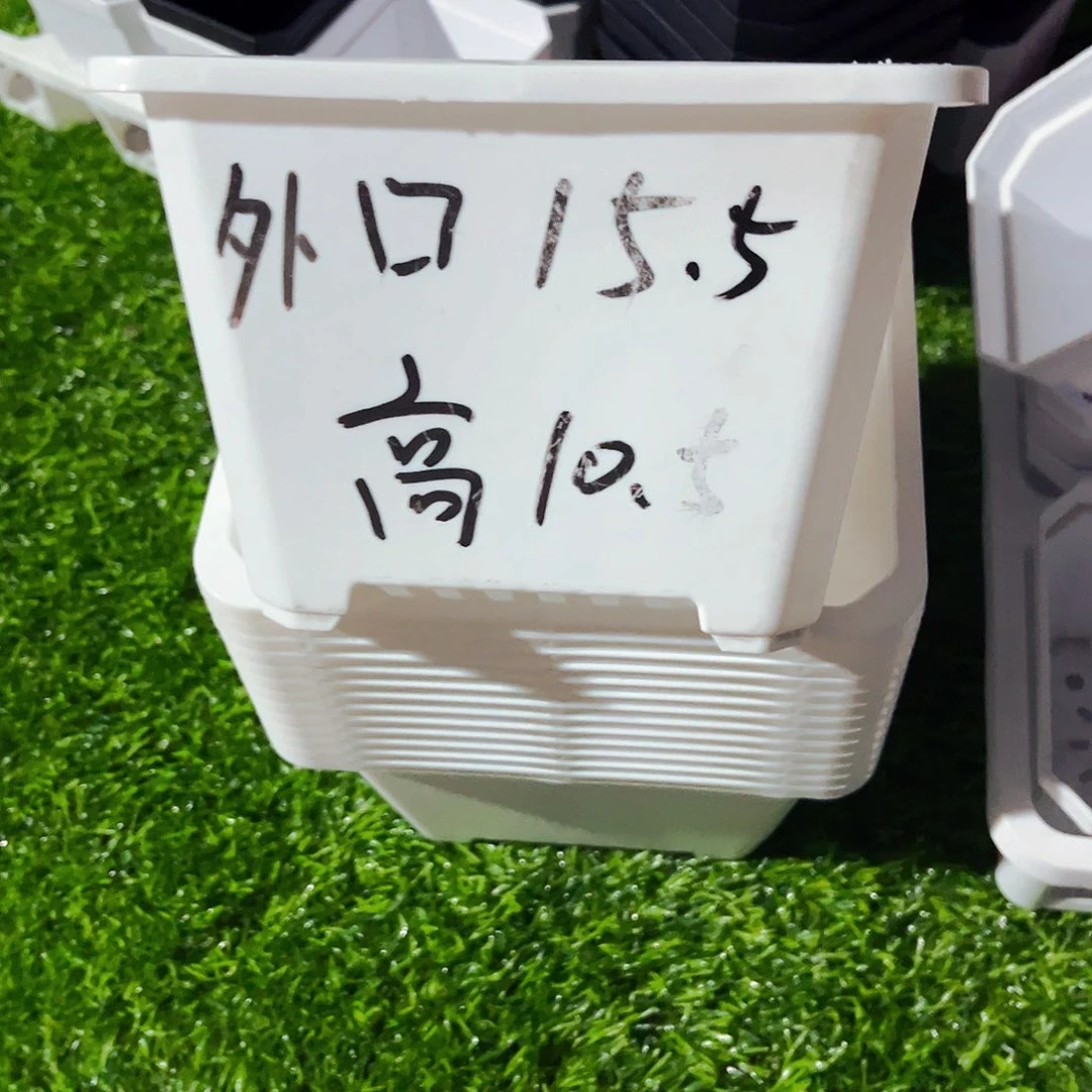 塑料福利款15方白色盆20个无托