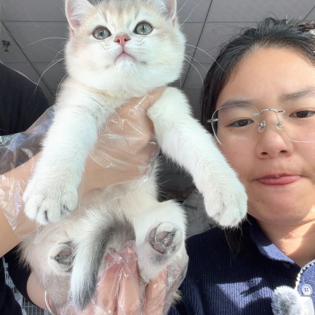 蓝金妹妹一针疫苗