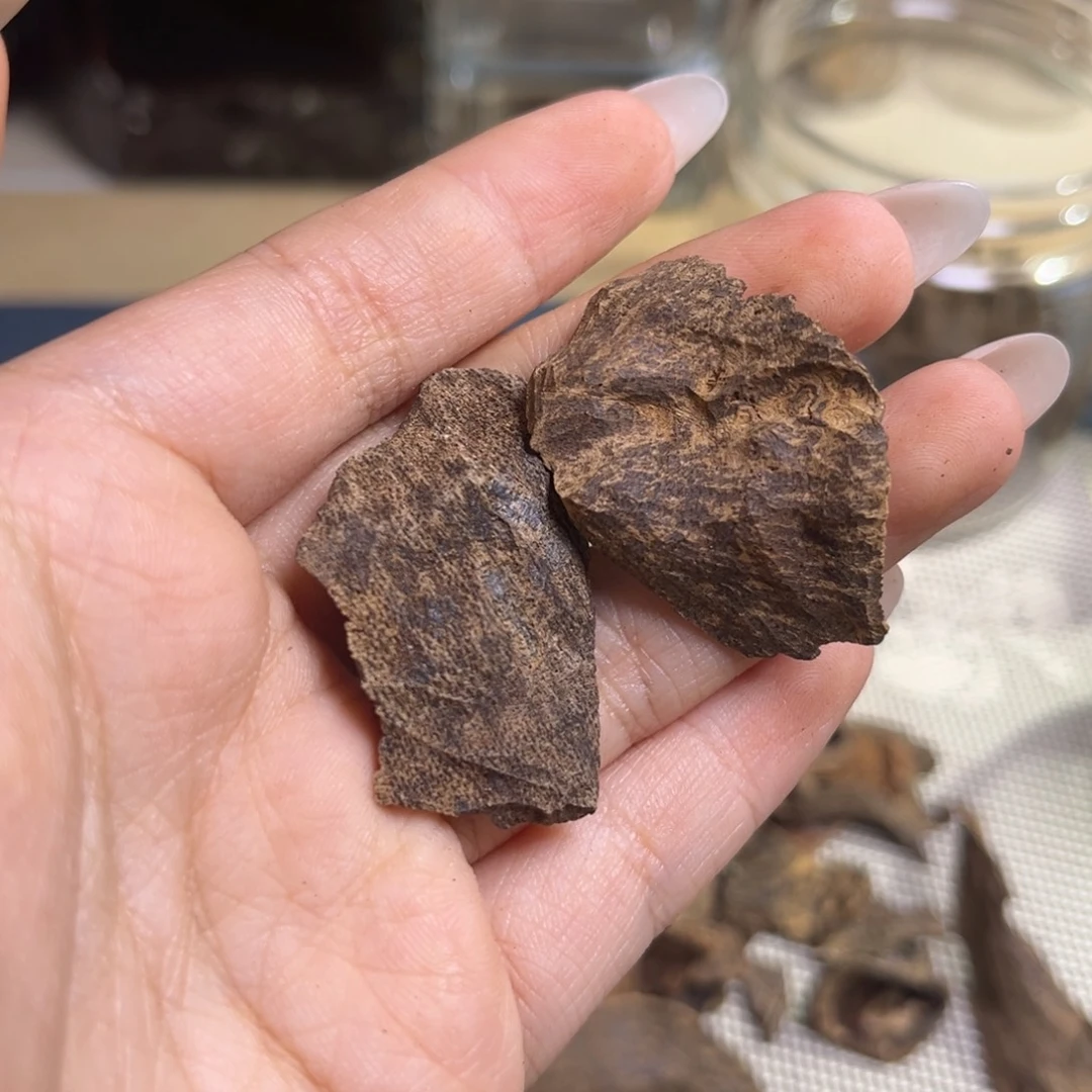 沉香海南尖峰岭沉水碎2克福利
