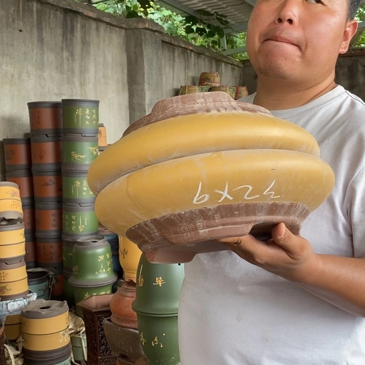 紫砂花盆盆栽花卉苗木