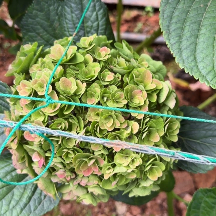 完全开放68号楼一单元一号