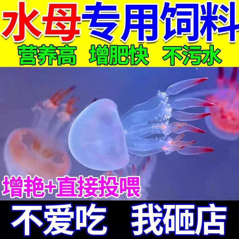 水母饲料丰年虾卵赤月海月观赏水母宠物免孵化幼鱼开口专用营养粮
