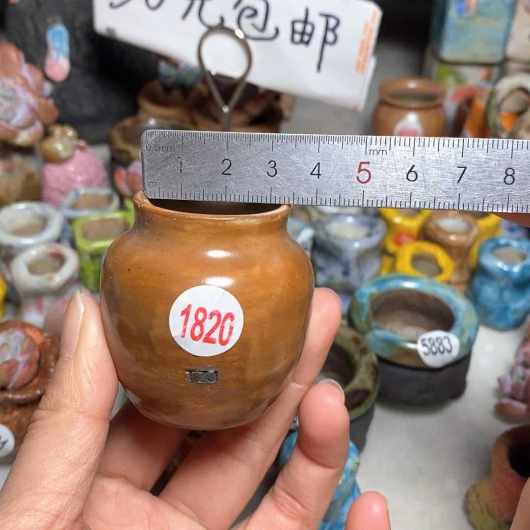 拍5送一个小礼物