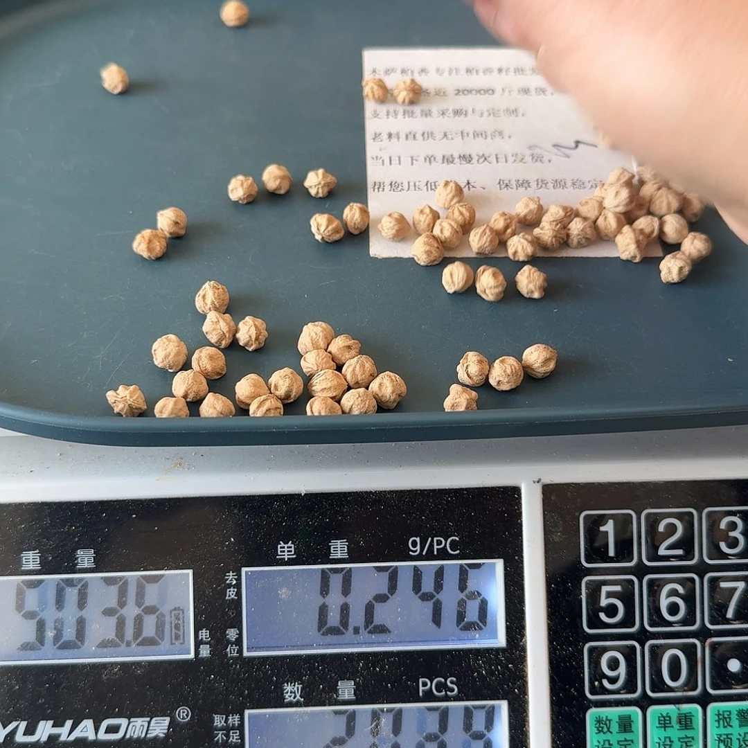 柏香籽/百香籽吊坠25克102颗左右H8071