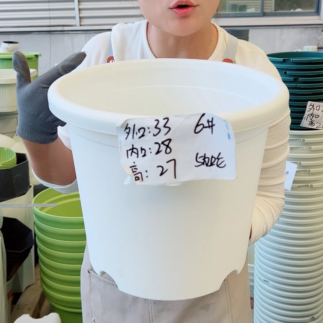 四季盆6#白色5个无托