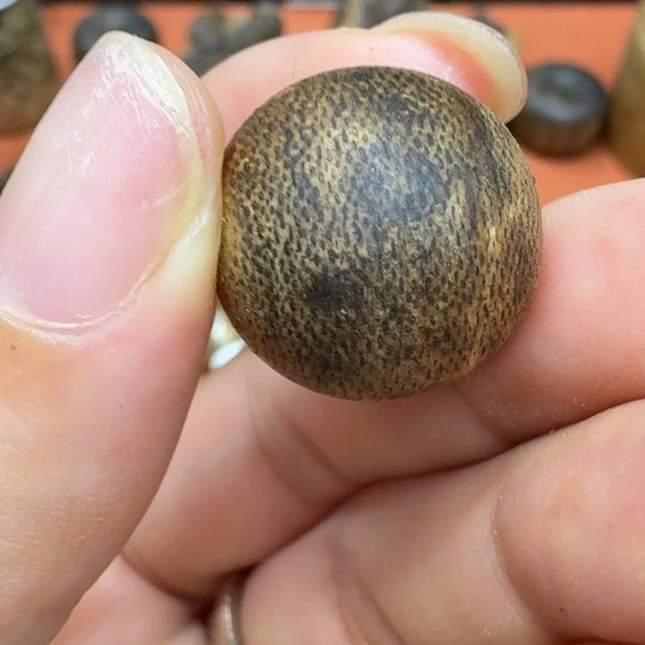 大叶紫檀（黑酸枝木类）