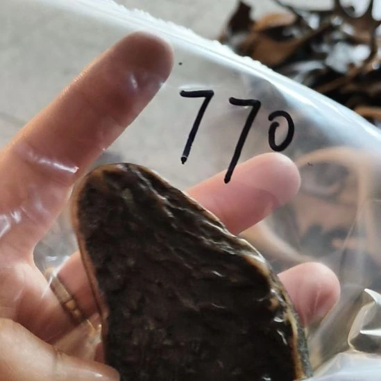 麦***师鹿角鹿角鹿角鹿角鹿角鹿角