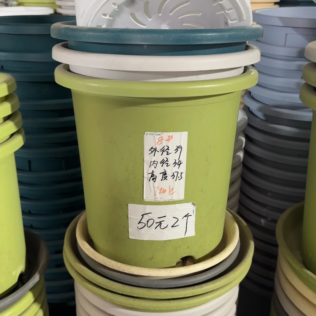 四季8#口径39高37无拖灰白5个