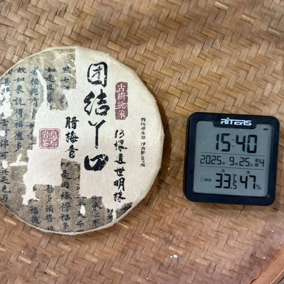13年团结丫口岩茶皇后13棵遗世明普洱生茶饼357克CMF11号9月25日