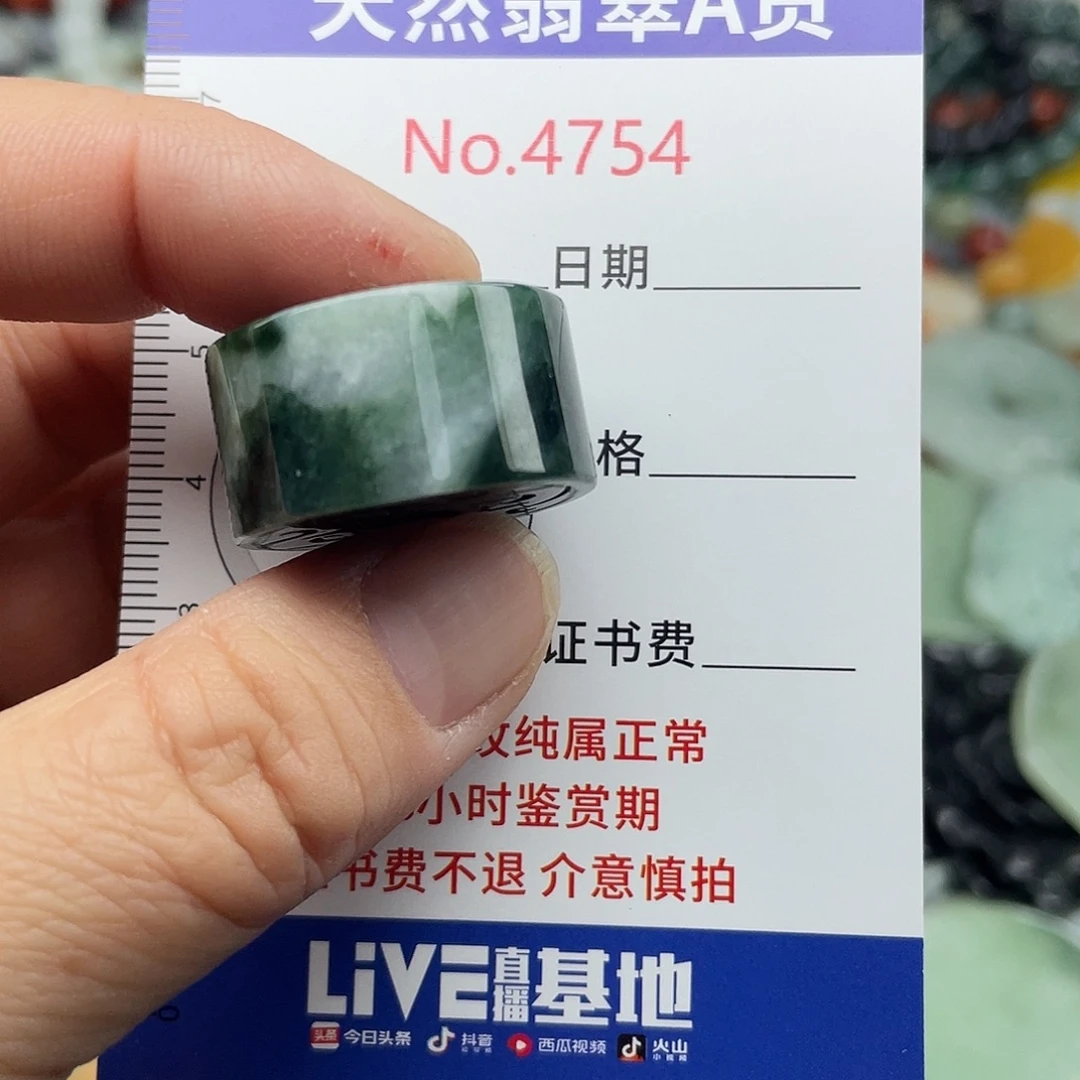 翡翠未镶嵌挂件4754
