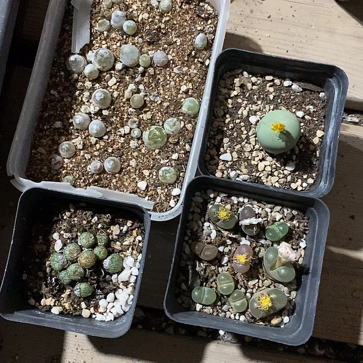 9392。 福利一组。