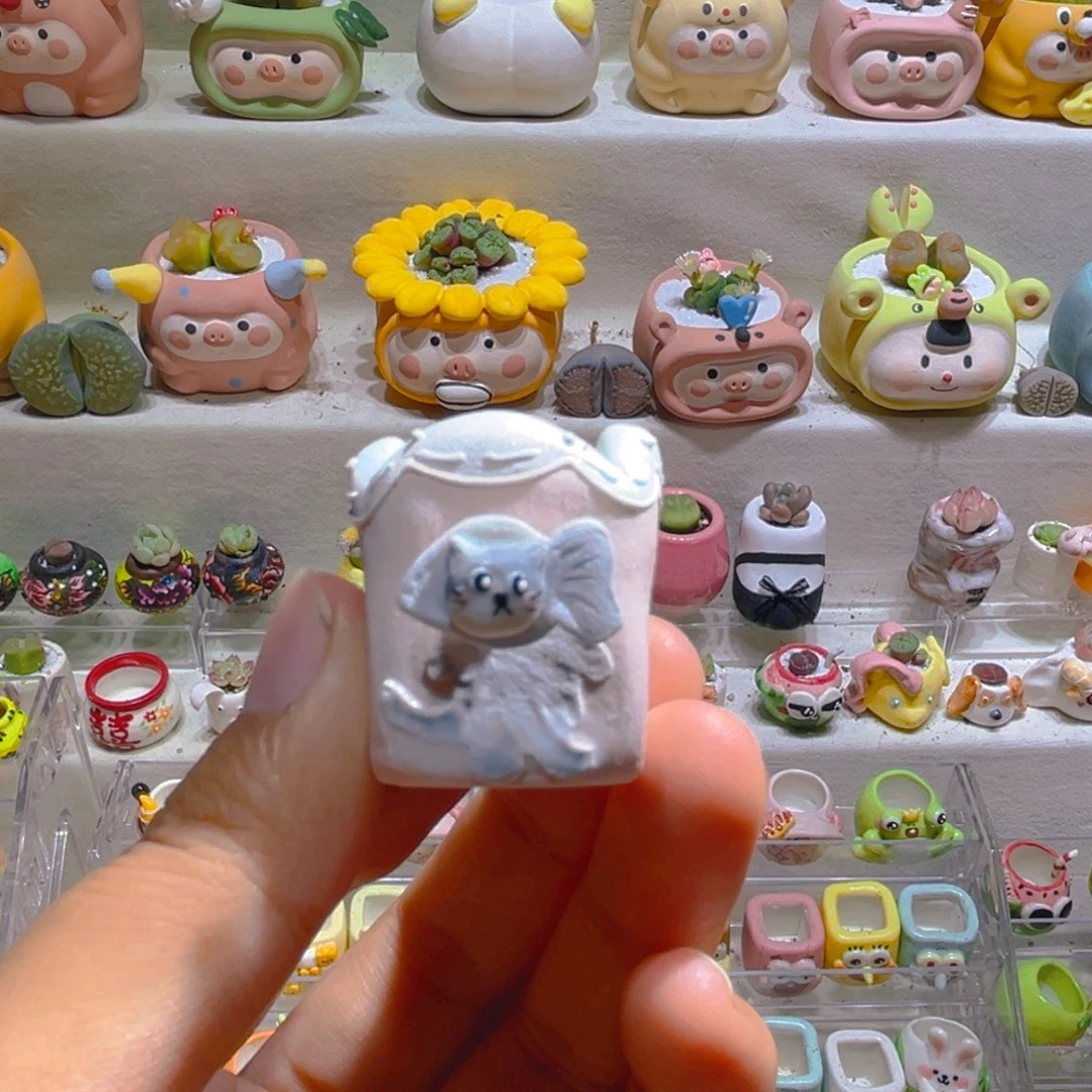 ?**菜小菜宝宝专属链接拍拍