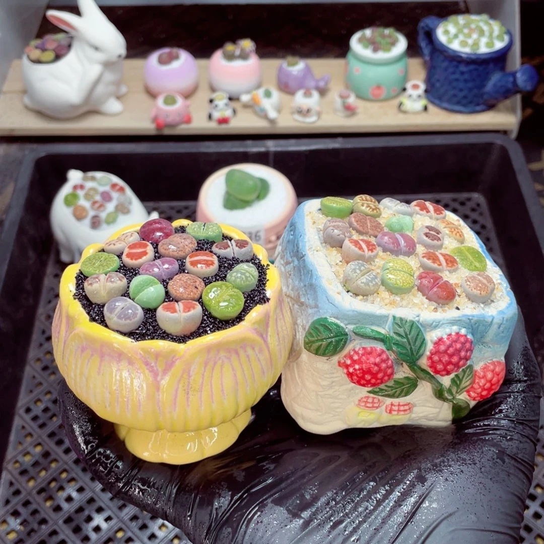 夜间零下地区拍保温箱w3739