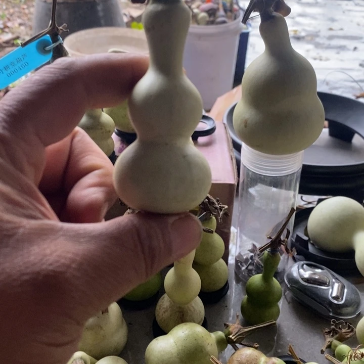 我***九我小心翼翼小心翼翼小心翼翼