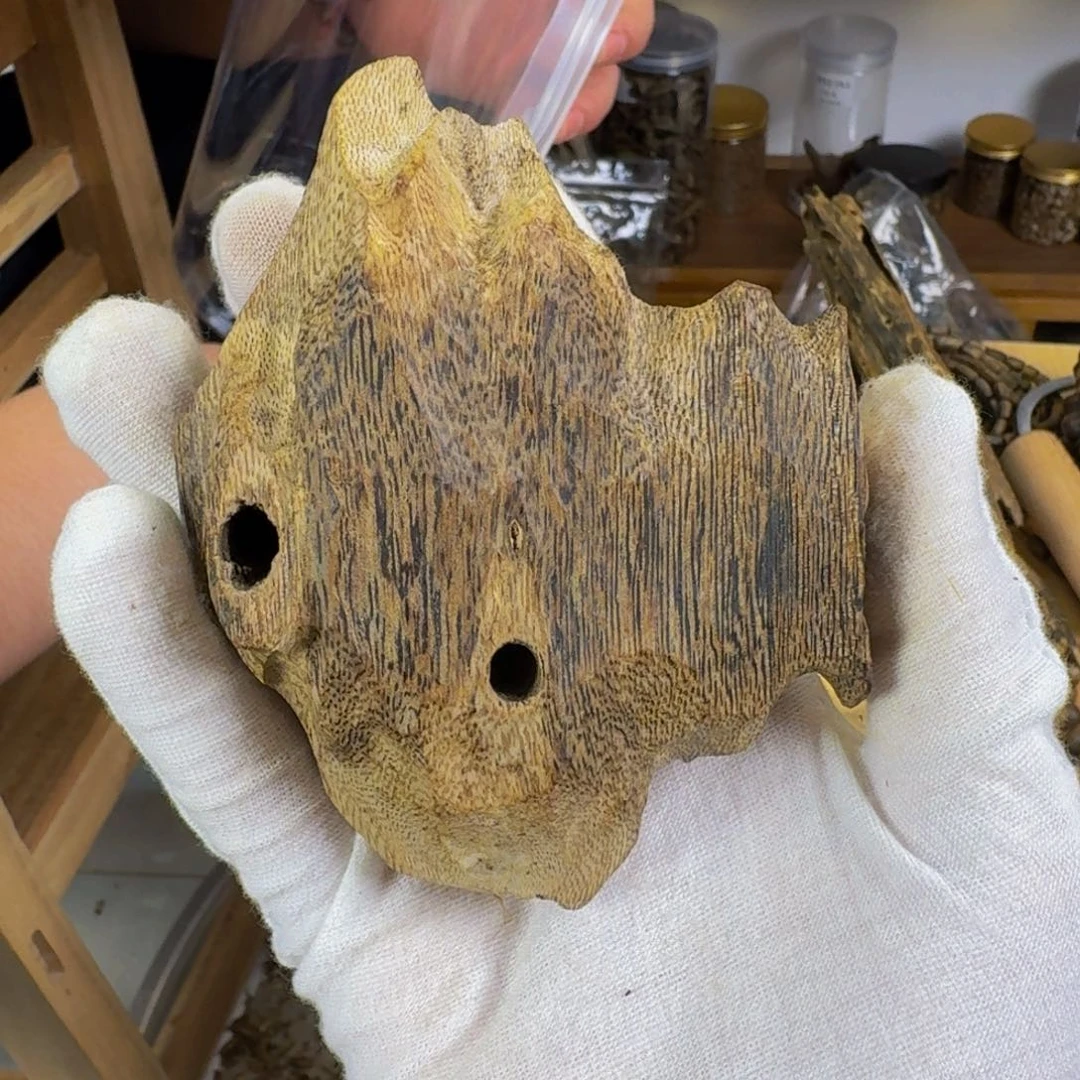 沉香沉香碎屑乌身圆叶一代苗47克