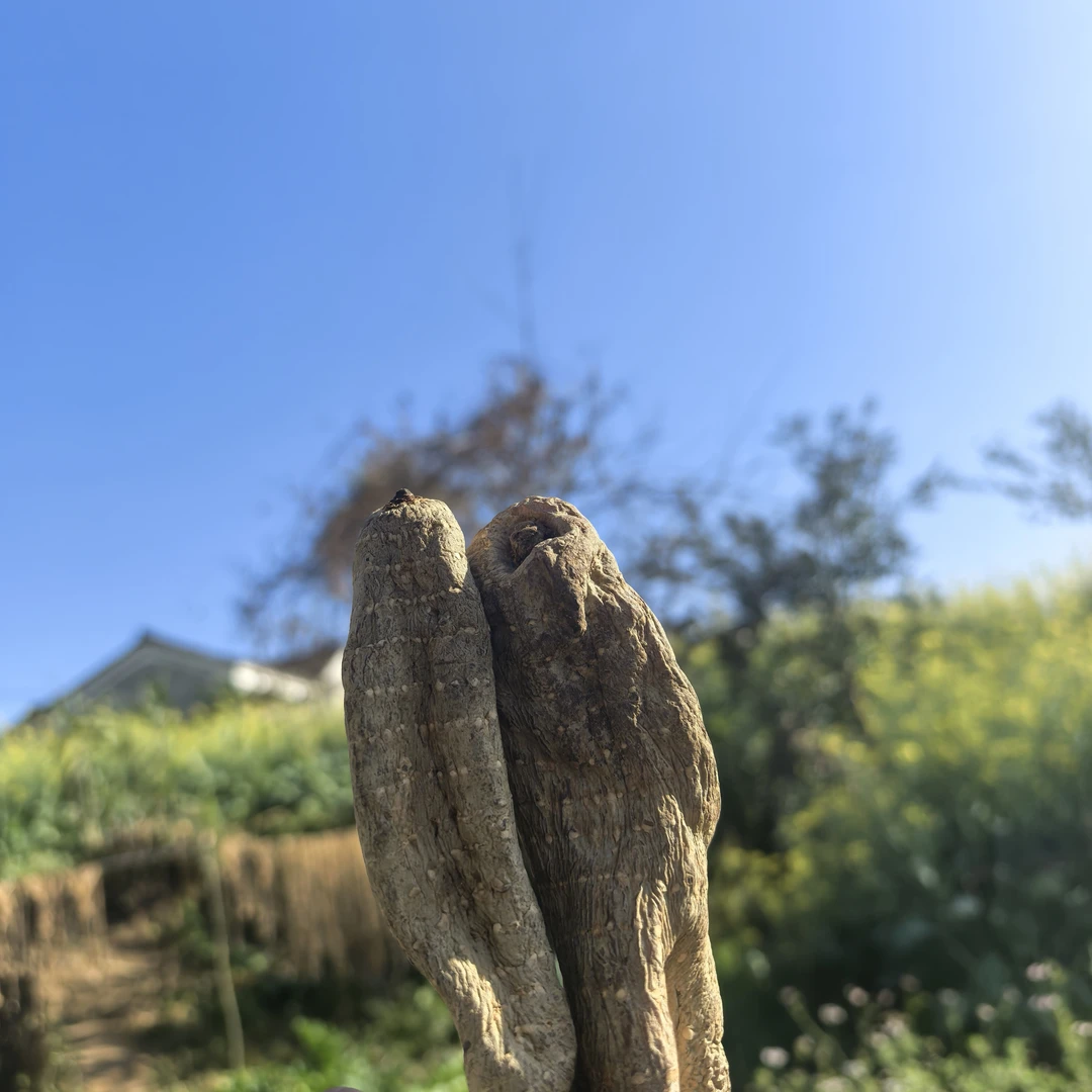 《顺玉云南土特产》农产品……麻