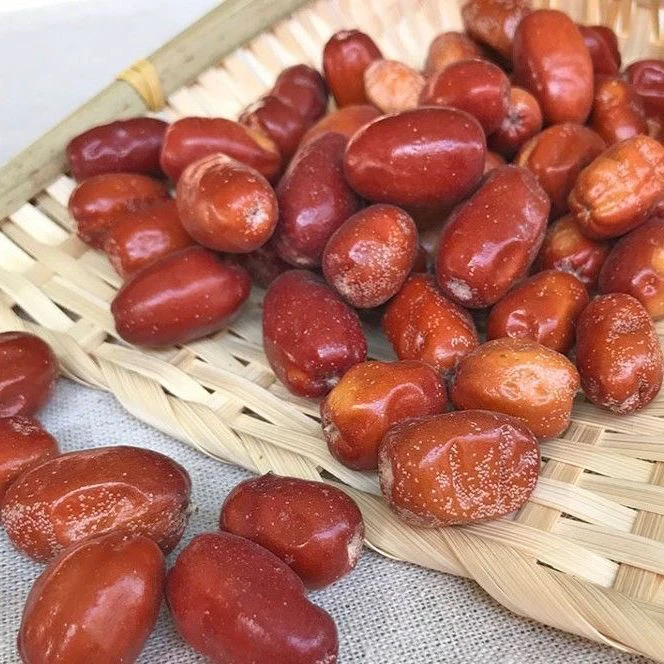和田红沙枣。枣零食红沙枣泡茶