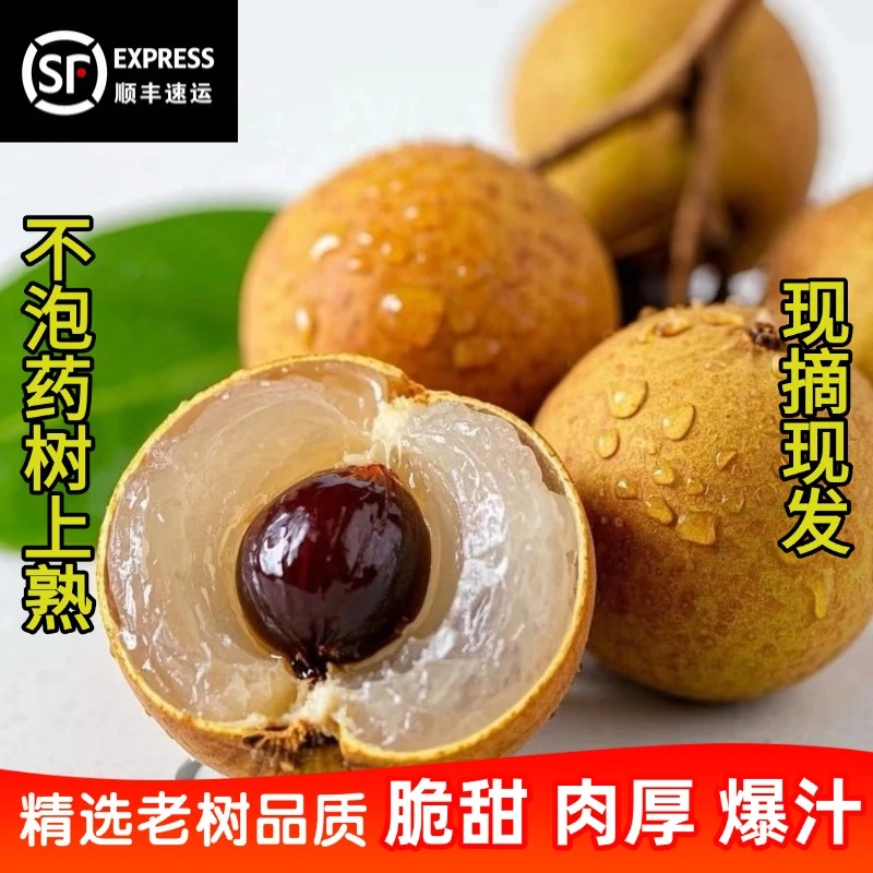 顺丰5斤新鲜储良龙眼新鲜现摘桂圆当季清甜多汁水果石硖龙眼f