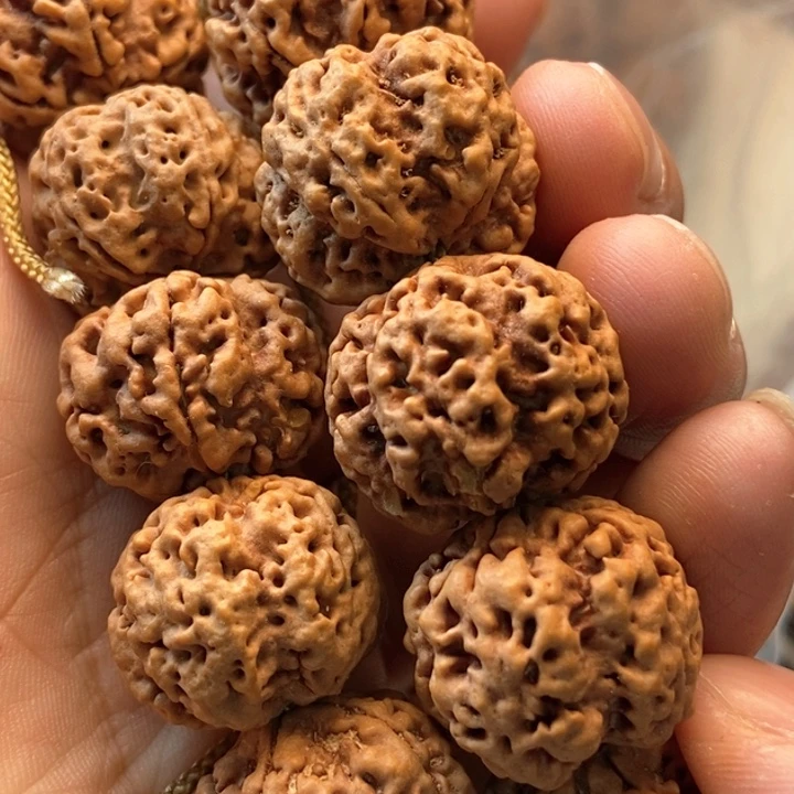 吊坠金刚菩提5瓣23梅花双龙