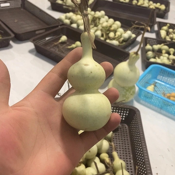 骑***步感谢大哥支持兄弟不保