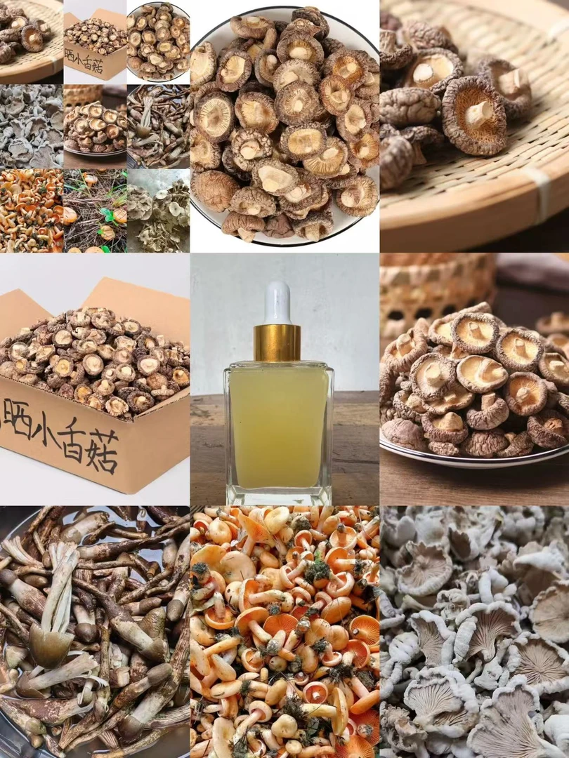 边境好货山货推荐 非香菇舍油