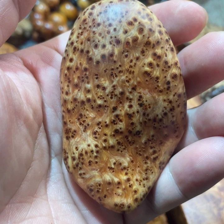 柏木（崖柏）其他把